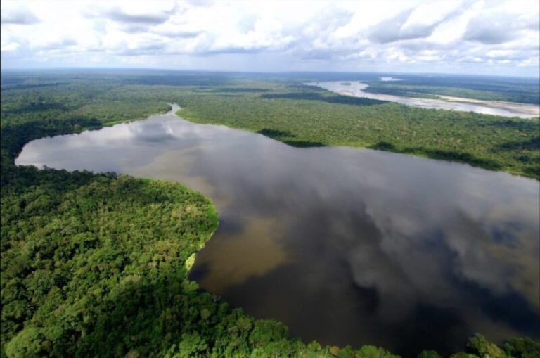 Amazon se compromete a cuidar los bosques y las comunidades de la Amazonía brasileña