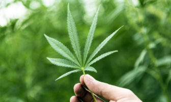 ArgenCann se suma al Consejo Publicitario Argentino