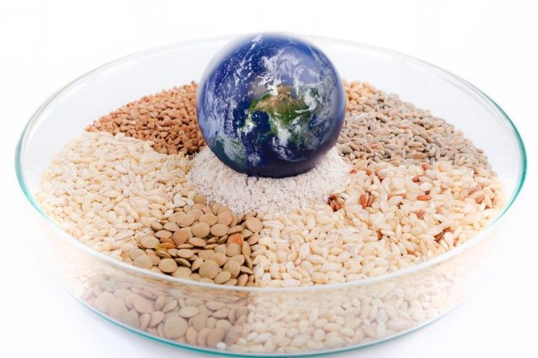 La ONU se lanza a la búsqueda de empresas que alimenten el futuro del planeta