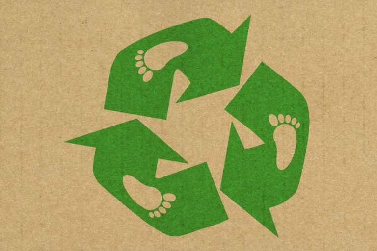 Naranja X, la primera fintech argentina en acelerar su compromiso con la acción climática