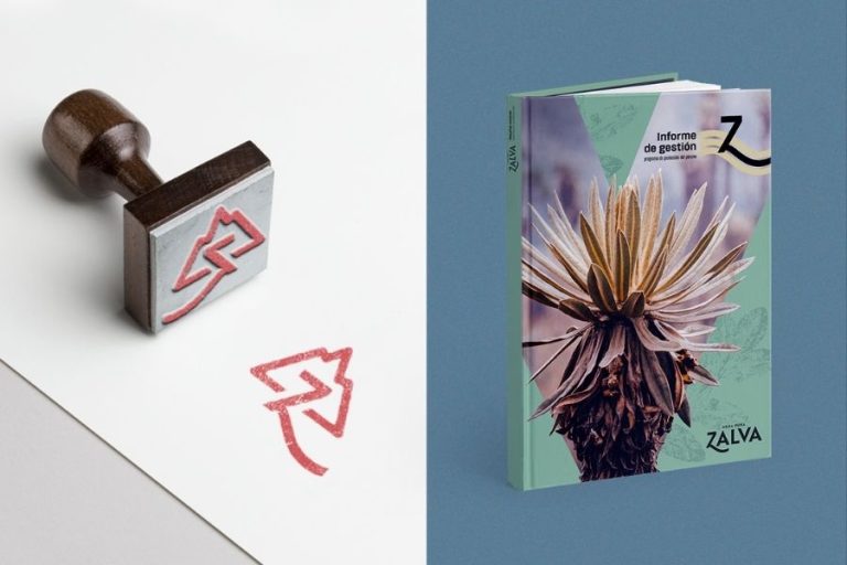 La nueva identidad visual de Zalva que refleja la importancia de los páramos colombianos