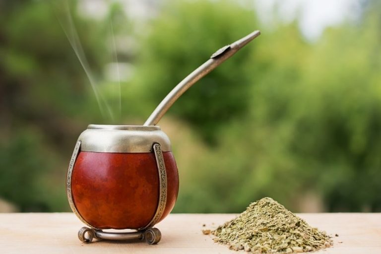 Argentina: el festejo de CBSé por el Día Nacional del Mate