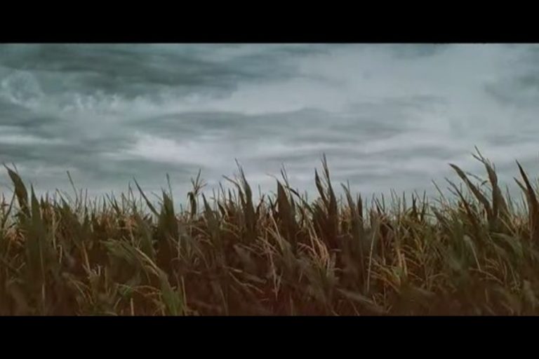 “Conectados por la Tierra”, la campaña de BASF que visibiliza el trabajo del agricultor