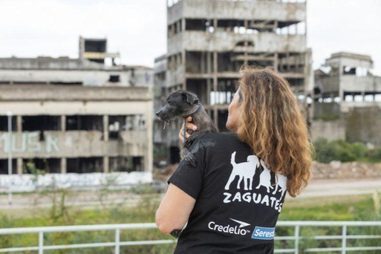 “La calle me deja marcas”: la campaña que promueve la adopción responsable de animales