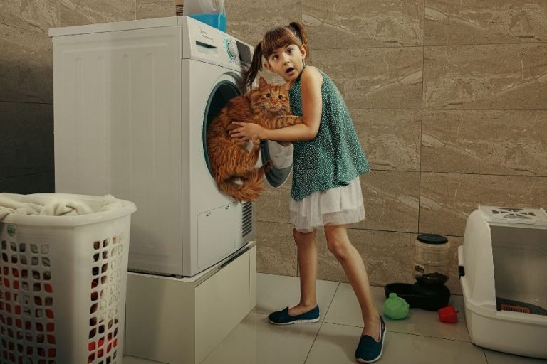 Wunderman Thompson Chile y Mazda ponen el acento en la seguridad