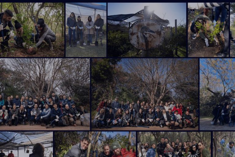 Argentina: junto a Fundación Plantarse, Dentsu se propone reducir su huella de carbono