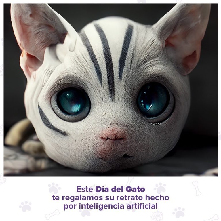 Laika celebra el Día del Gato con una curiosa campaña basada en Inteligencia Artificial