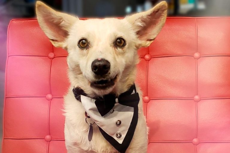 El triunfo de Geometry y VMLY&R Commerce Colombia en los Effie Awards 2022