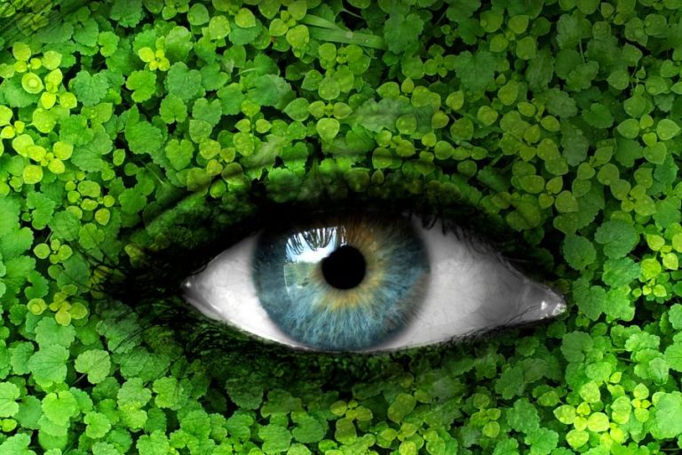 Argentina: las mujeres, más comprometidas con el cuidado del medioambiente