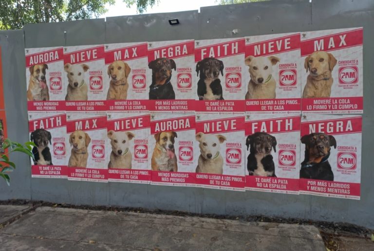 México: Thanks Agency ganó un Effie de Oro junto a un partido con candidatos que cumplen lo que prometen