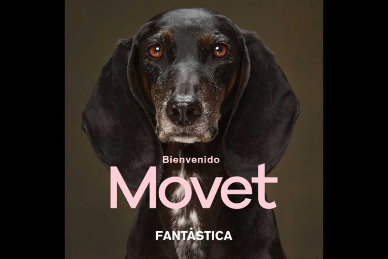Colombia: Movet elige a Fantástica como su agencia de comunicación