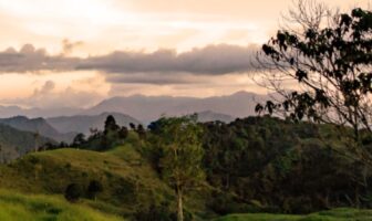 Colombia: #ElVerdaderoOrigen, la campaña de Alpina que revela de dónde proviene su leche