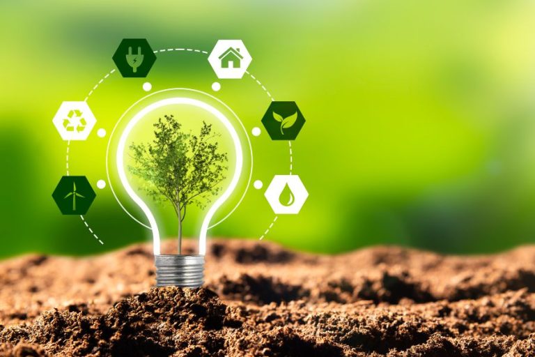 Las tendencias de sostenibilidad que abren nuevas oportunidades para las marcas en la región