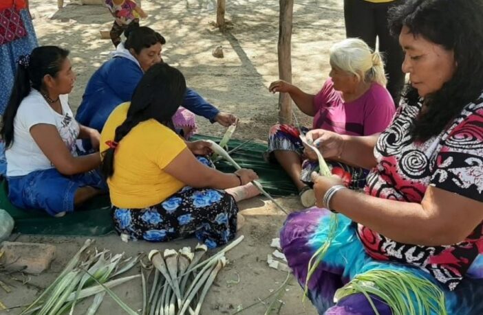 Google, ONU Mujeres, Fundación Gran Chaco y Pro Mujer se unen para