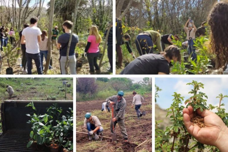 Sumando esfuerzos por el ambiente: JUMBO+ y Plantarse colaboran con la reforestación en Córdoba