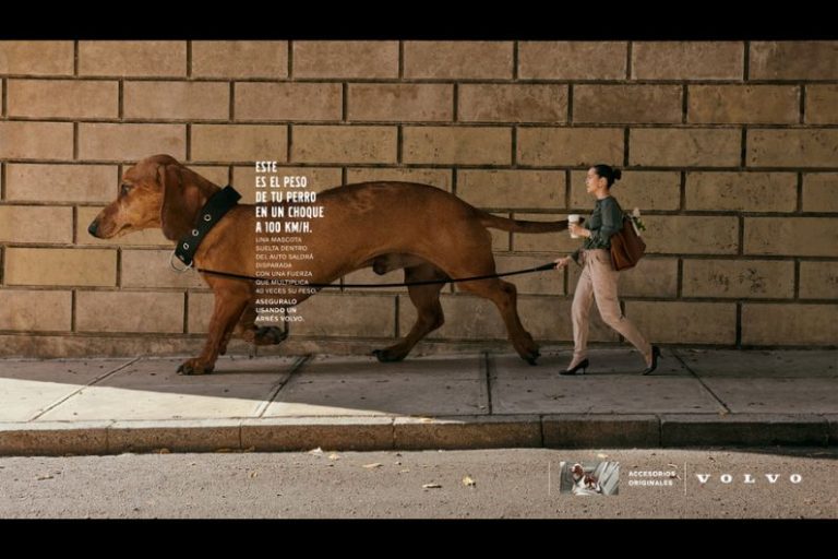 Volvo y Anita & Vega promueven el traslado seguro de los animales en los autos