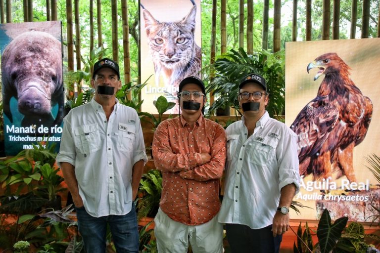 Inmov y Latir impulsan la COP16 con una experiencia que sensibiliza sobre la biodiversidad