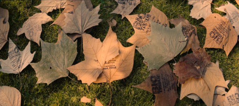 “Recycleaves”: la campaña en la que la naturaleza se convierte en el mejor medio de comunicación