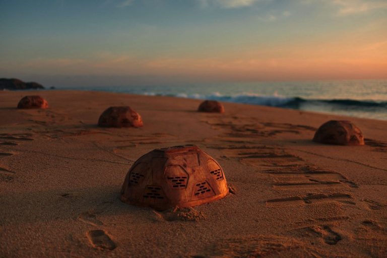 Banana Boat crea Nest Domes en México para proteger a las tortugas del calor extremo