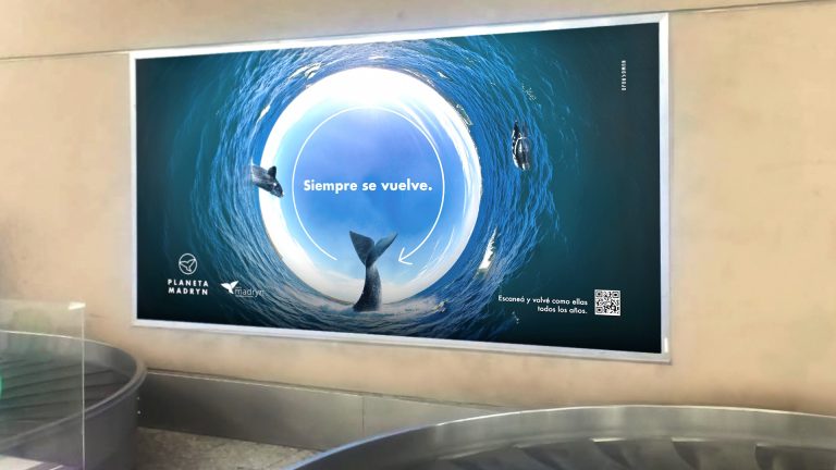 Puerto Madryn lanza su campaña 2025 para la Temporada de Ballenas: “Siempre se vuelve”