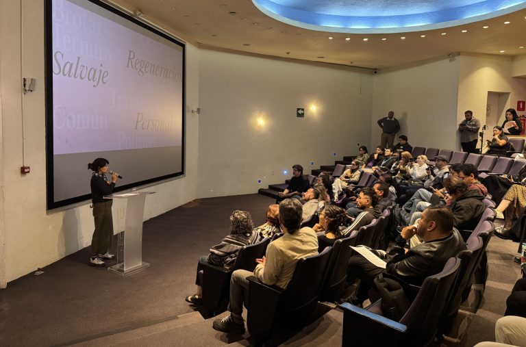 El Abierto de Diseño CDMX 2025 llega al Bosque de Chapultepec